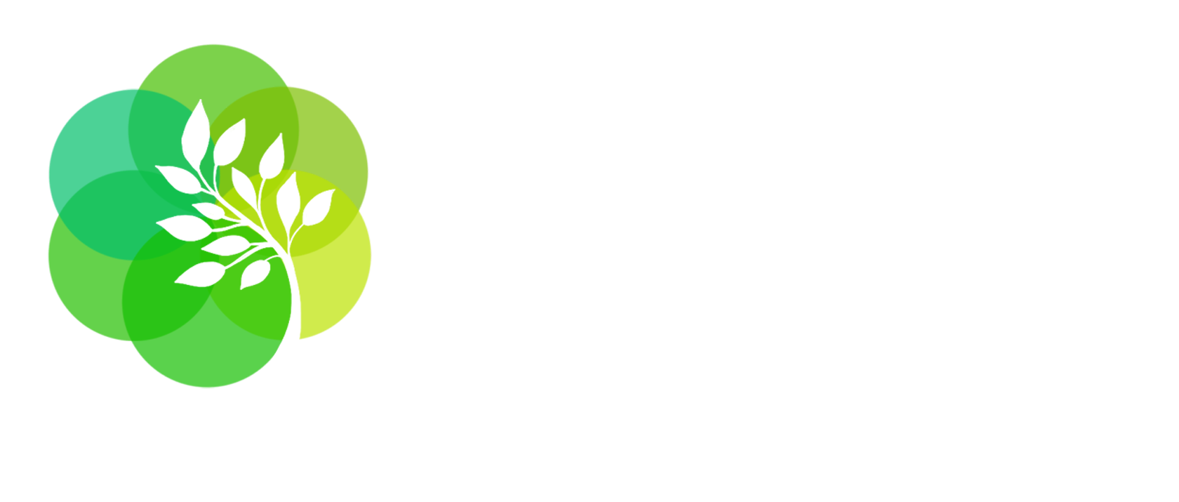 The December Issue Ethical Green Living